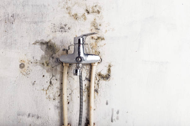 Best Mold Cleaning Services  in Anna, TX