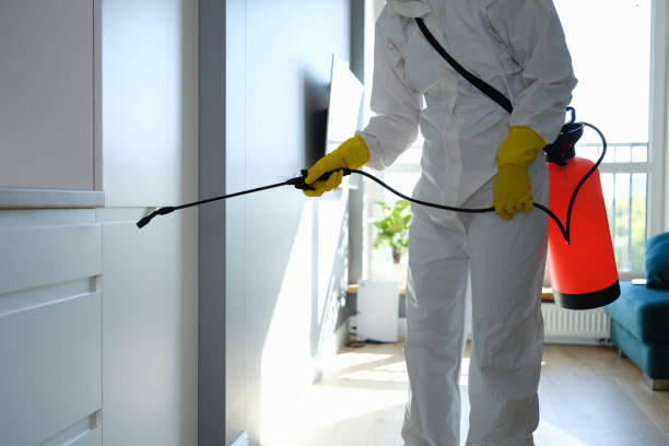 Best Certified Mold Removal  in Anna, TX