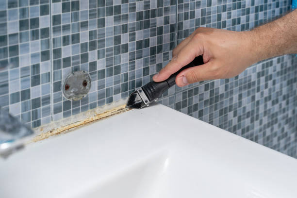 Best Mold Damage Repair  in Anna, TX